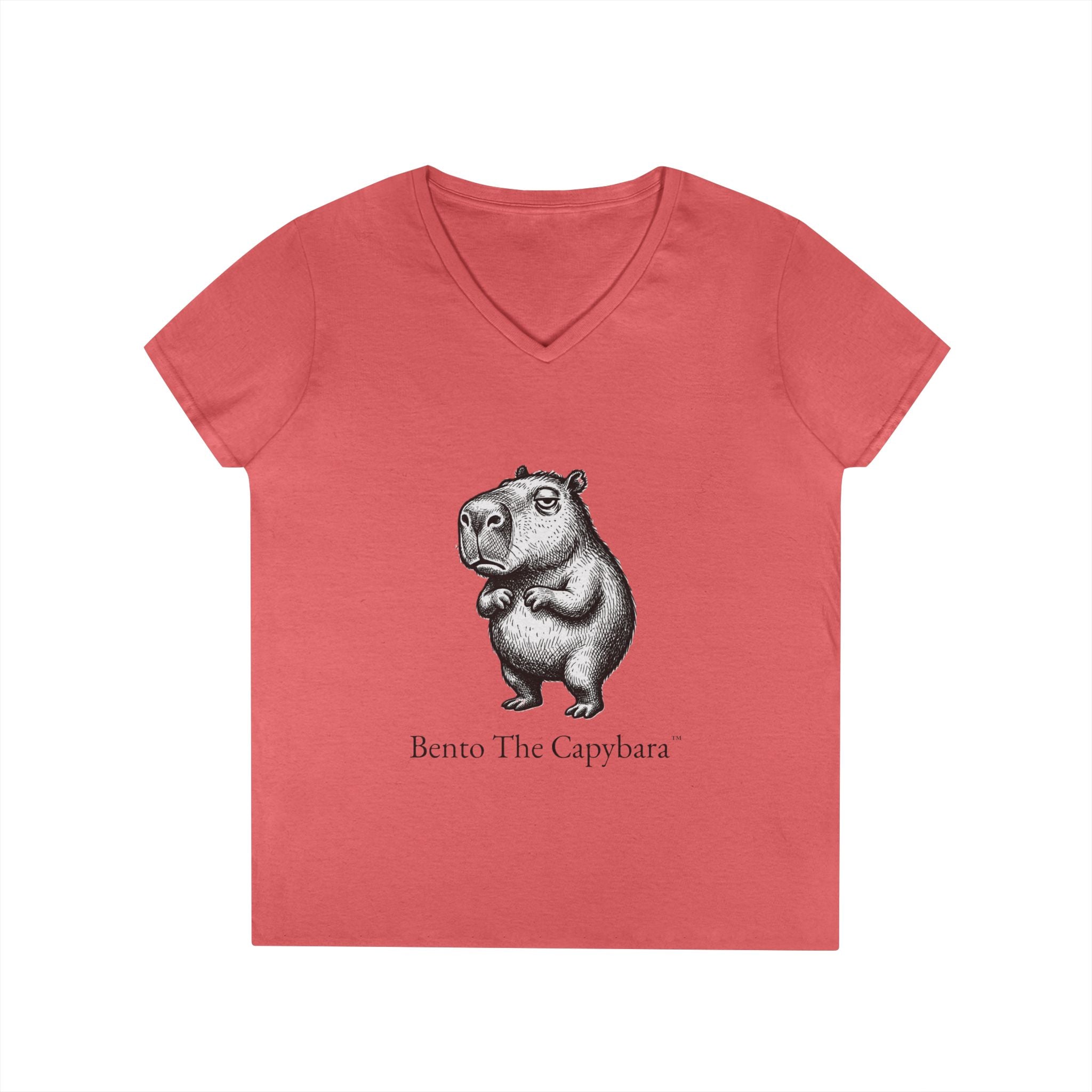 Bento The Capybara Women’s V-Neck T-Shirt