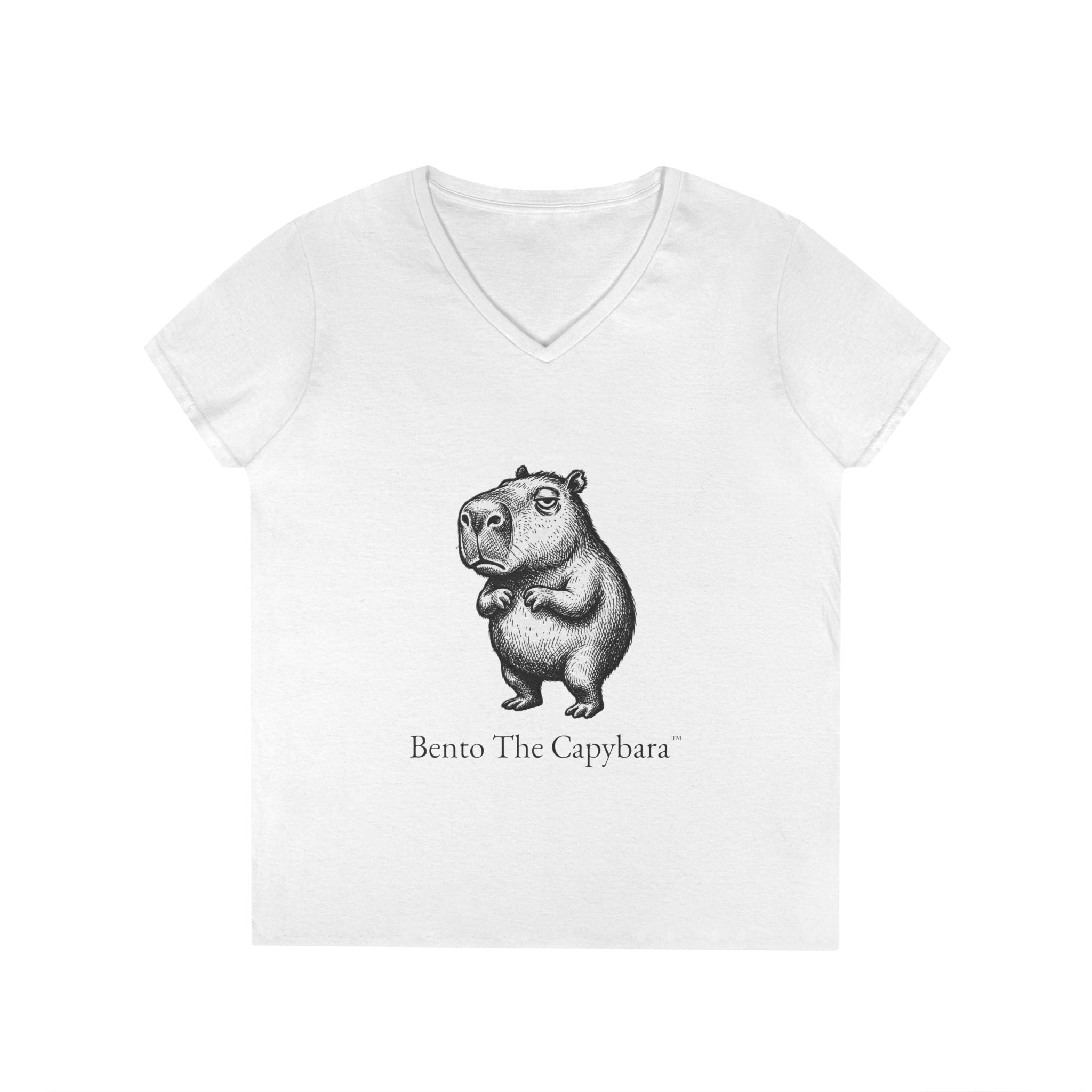 Bento The Capybara Women’s V-Neck T-Shirt