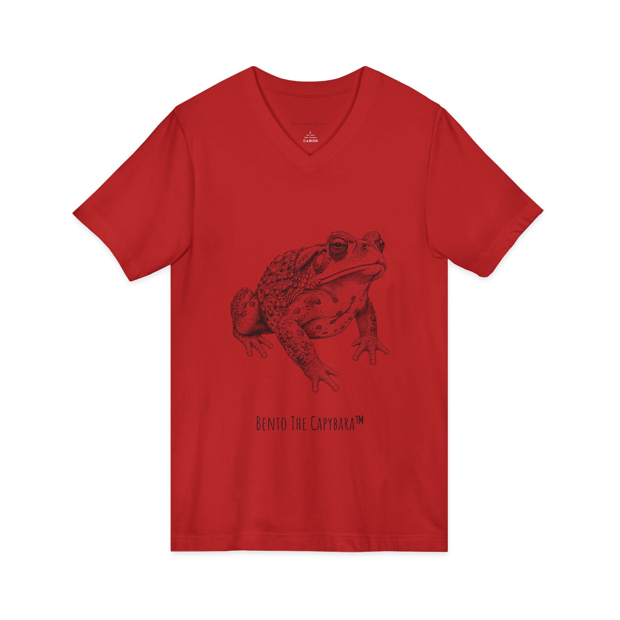 Spirit UNISEX V-Neck T Shirt