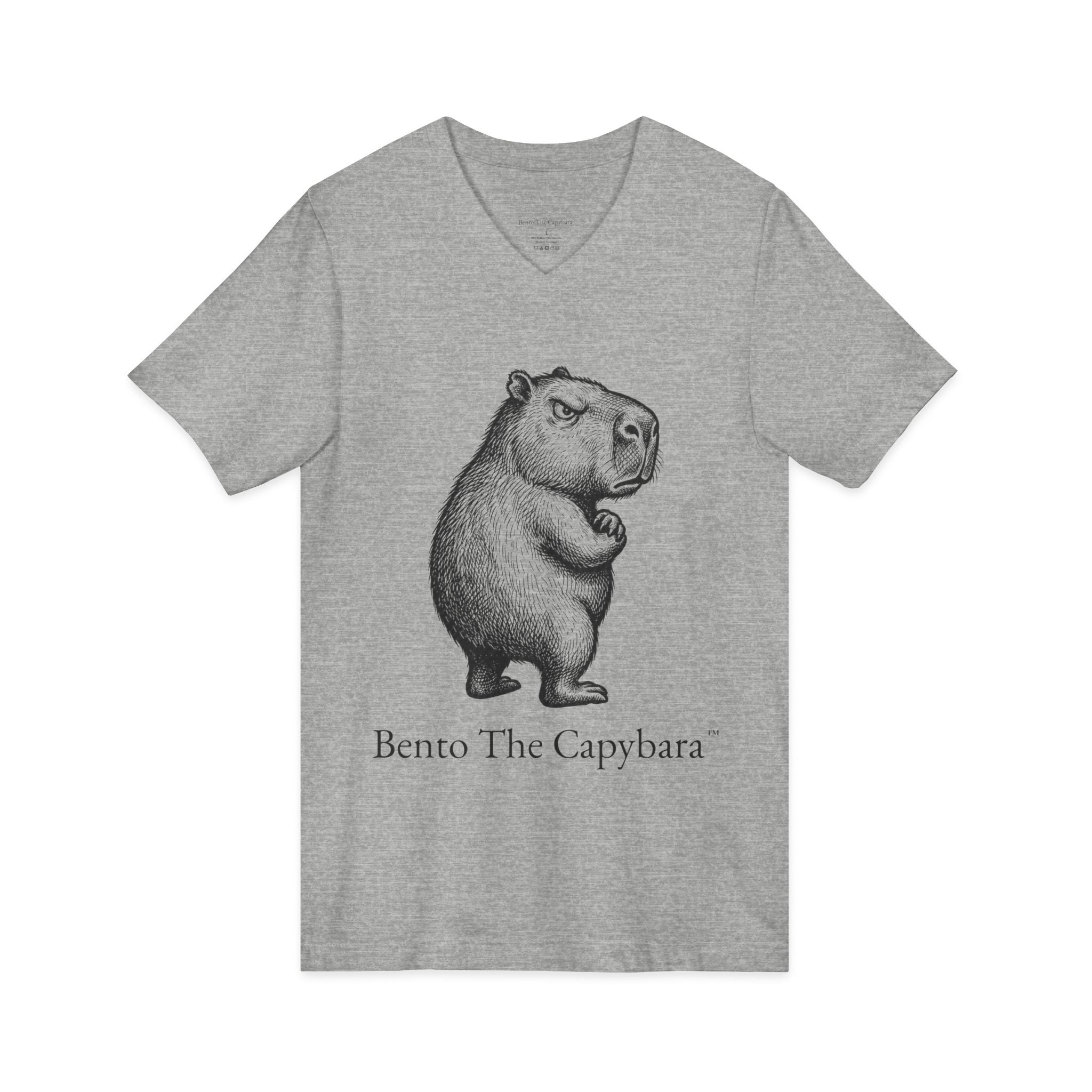 Bento The Capybara State of Mind