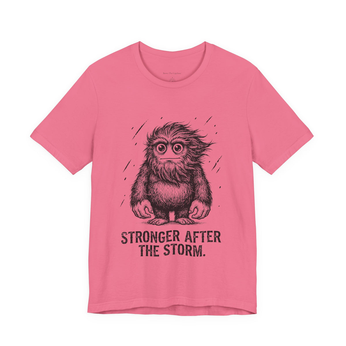 After the Storm Round Neck T-Shirt