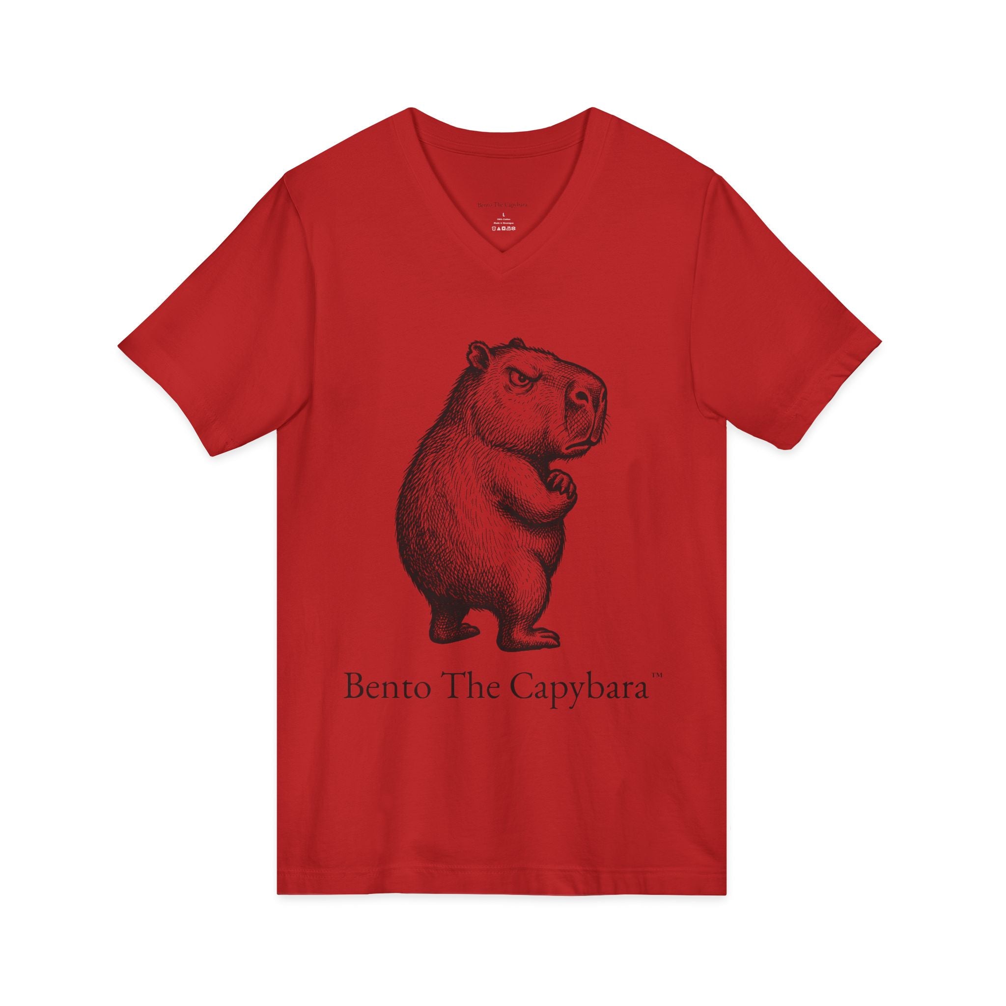 Bento The Capybara State of Mind