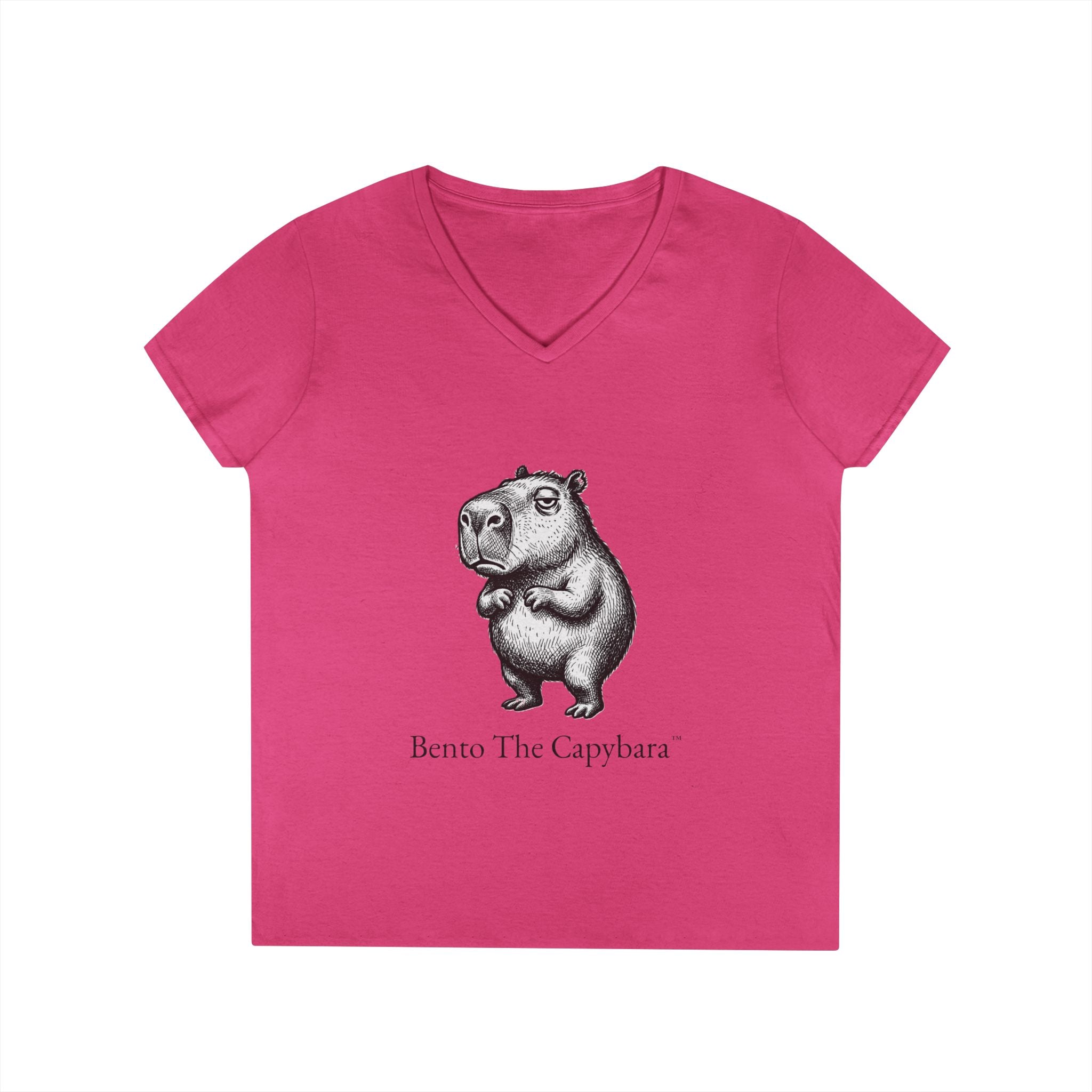 Bento The Capybara Women’s V-Neck T-Shirt