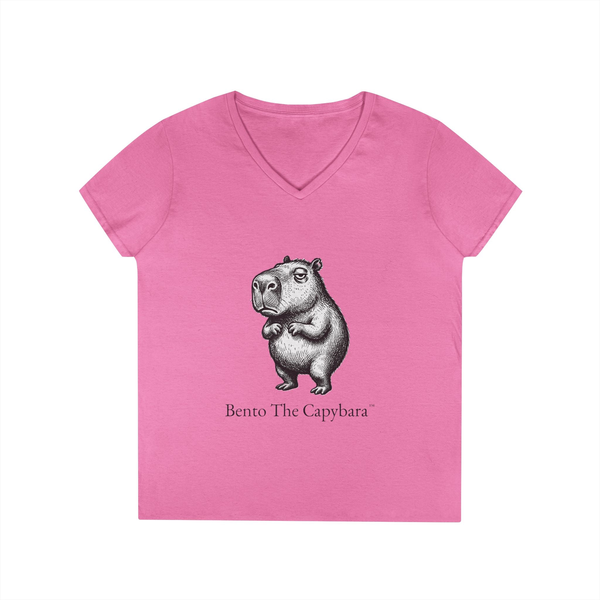Bento The Capybara Women’s V-Neck T-Shirt