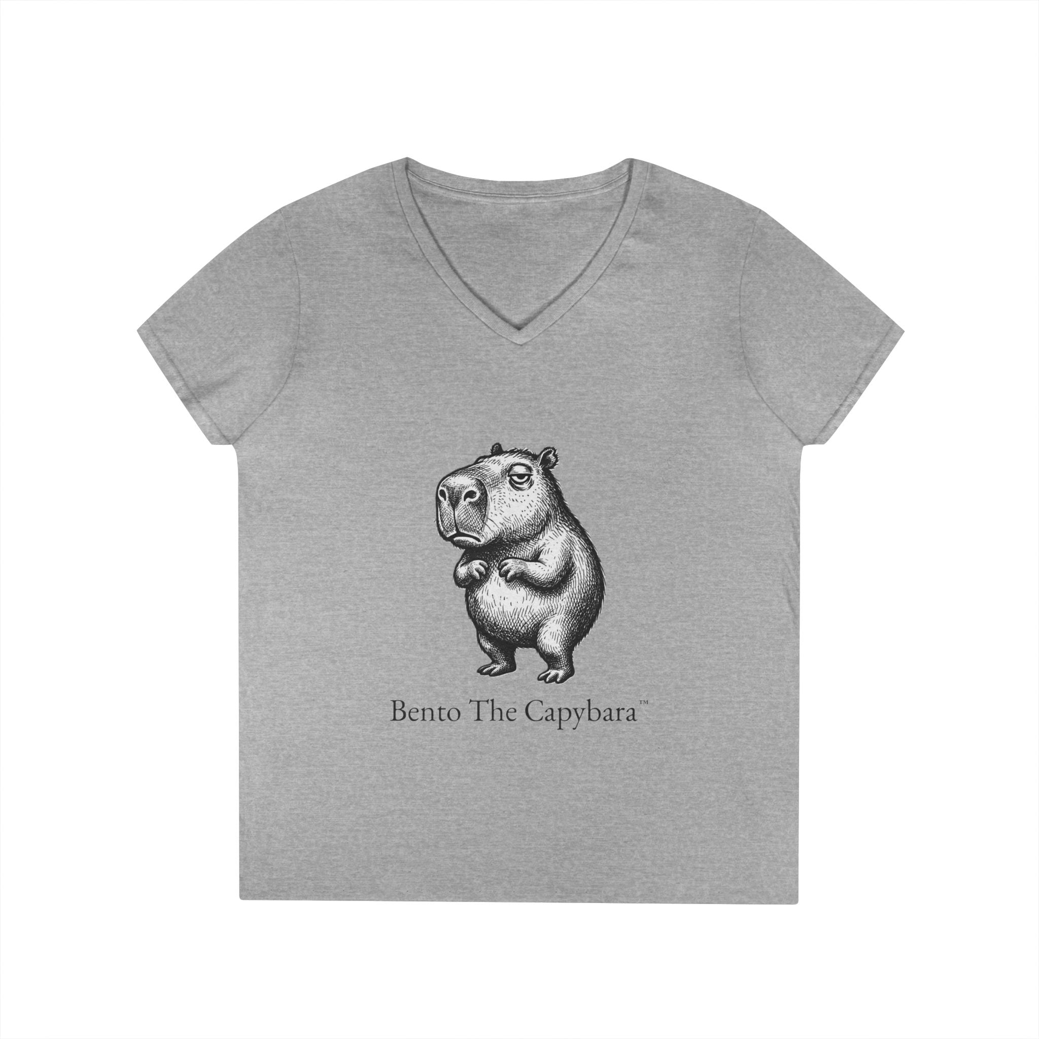 Bento The Capybara Women’s V-Neck T-Shirt