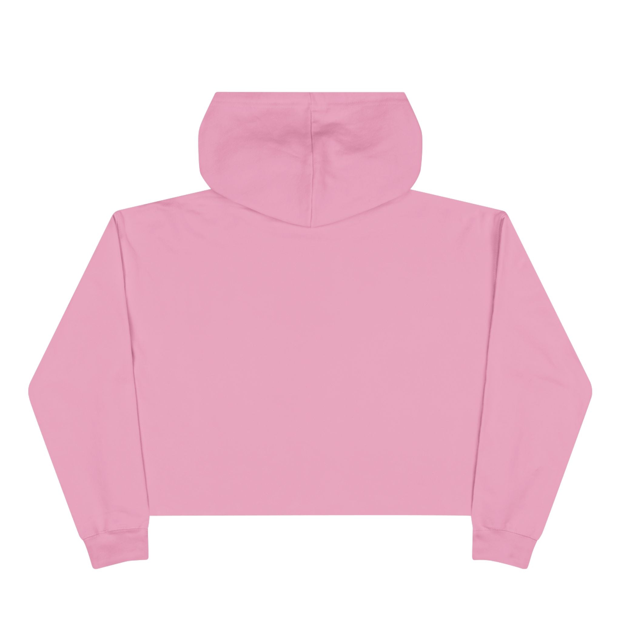 Bento The Capybara Crop Hoodie