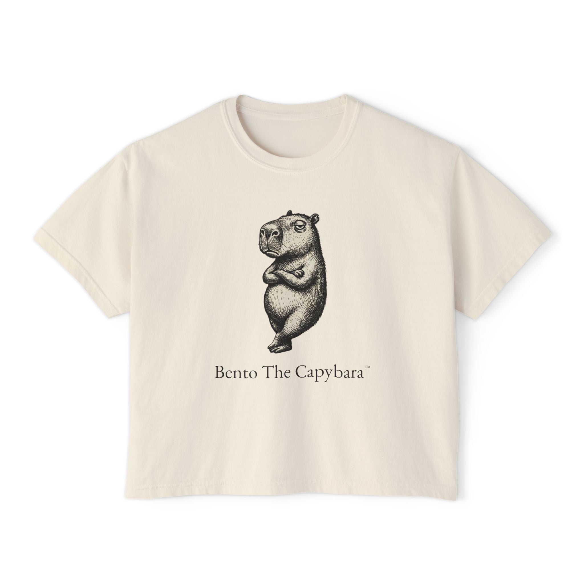Bento The Capybara Relaxed Women’s Boxy Tee