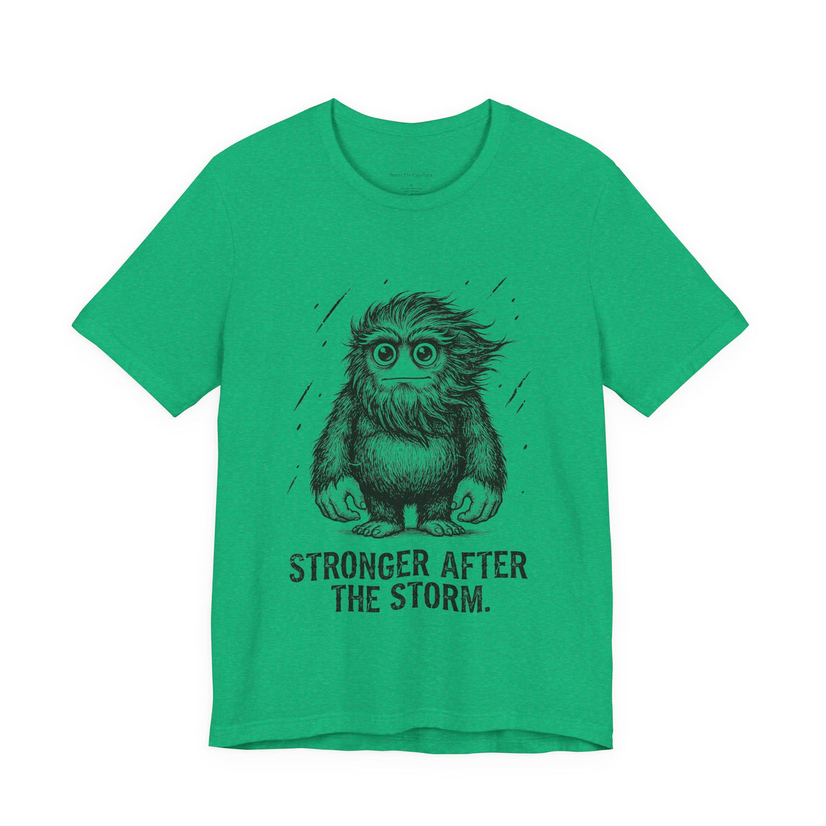 After the Storm Round Neck T-Shirt